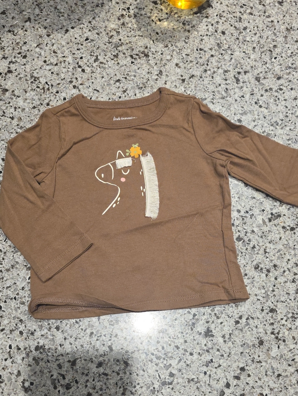 First Impressions Brown Long-Sleeve Tee with Horse Graphic